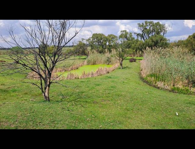 FARM FOR SALE IN MULLERSRUST